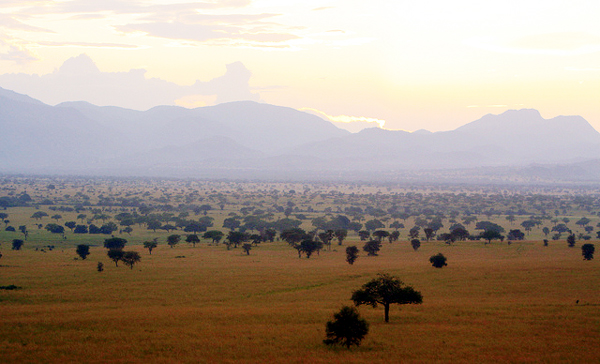 Kidepo Valley National Park (Photo: Guide2Uganda)