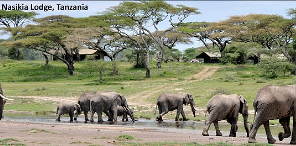 Nasika Lodge