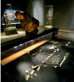 Lucy at Bowers Museum (Photo: Orange County Register)