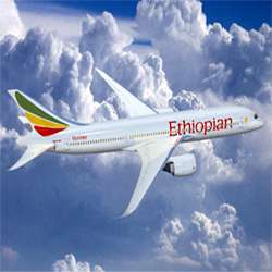 Ethiopian Reshuffle
