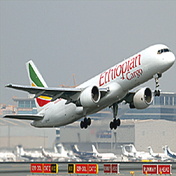 Ethiopian among world top 50 cargo airlines