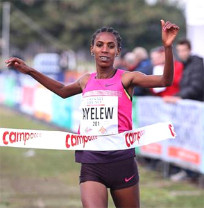 Hiwot Ayalew wins Campaccio cross country race