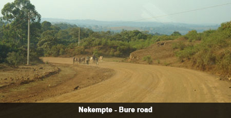 Nekempte Bure Road