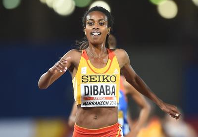 Genzebe Dibaba, winner of the 3000m at the IAAF Continental Cup, Marrakech 2014 (Getty Images)  