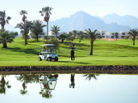 Egypt Golf